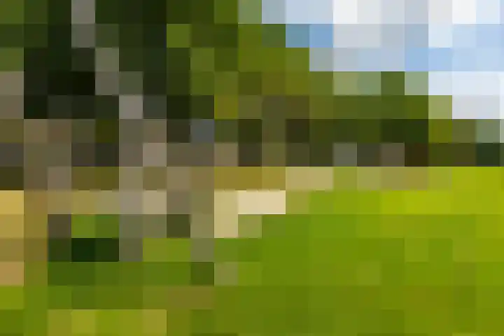 Achterberghof 6 Haren Gn thumbnail 54