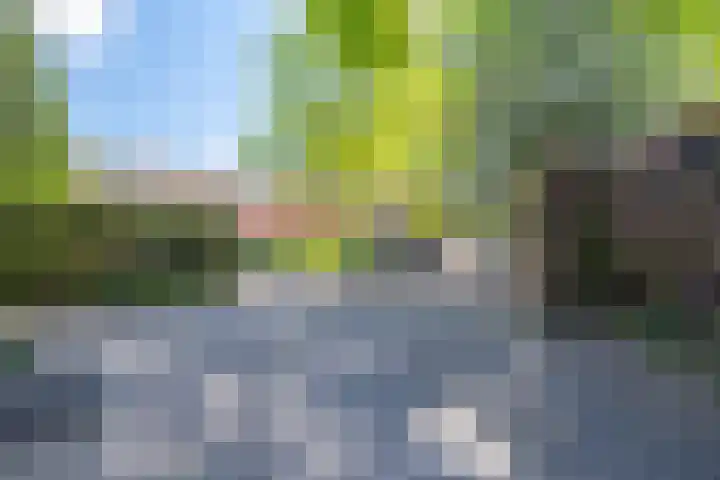 Achterberghof 7 Haren Gn thumbnail 10