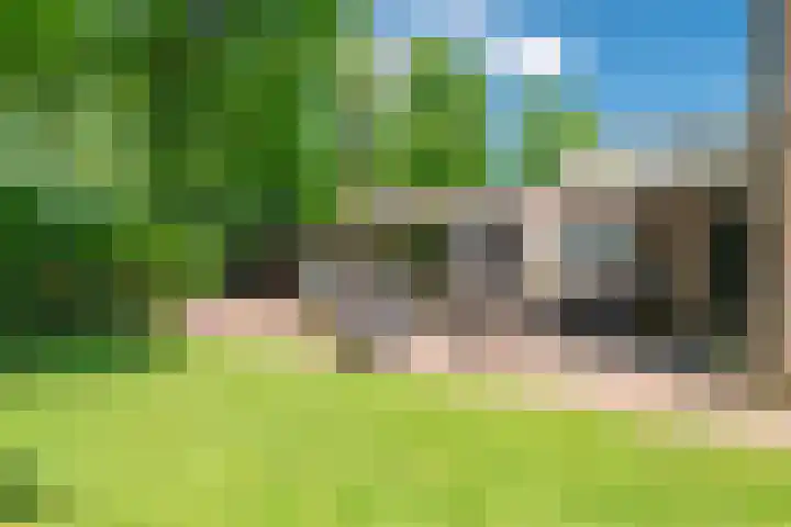 Achterberghof 7 Haren Gn thumbnail 54