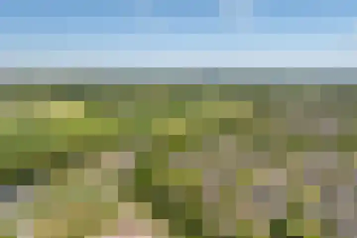 Achterberghof 7 Haren Gn thumbnail 68