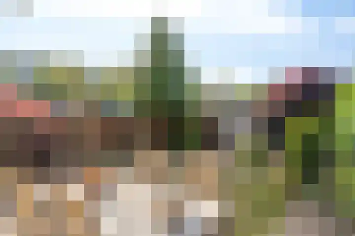 Achterberghstraat 10 Boxtel thumbnail 25