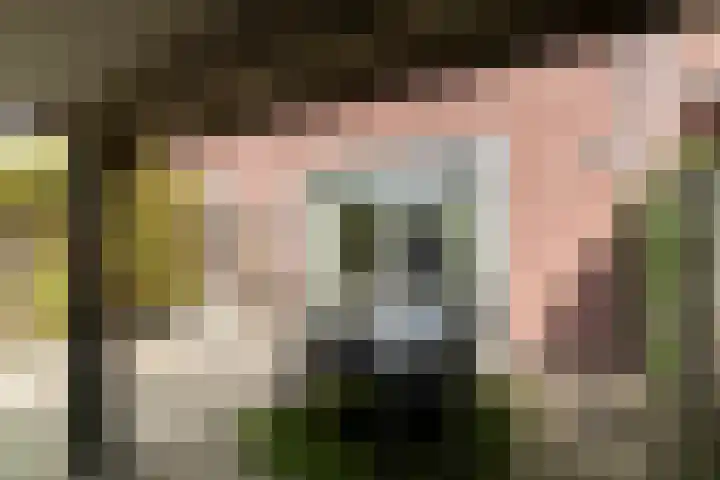 Achterberghstraat 21 Boxtel thumbnail 24