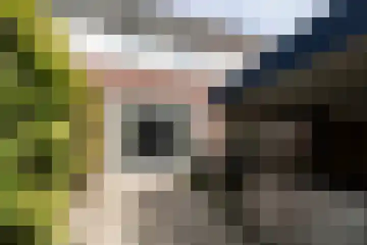Achterberghstraat 21 Boxtel thumbnail 25