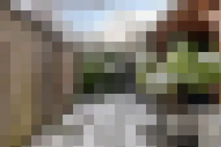 Achterberghstraat 23 Boxtel thumbnail 25