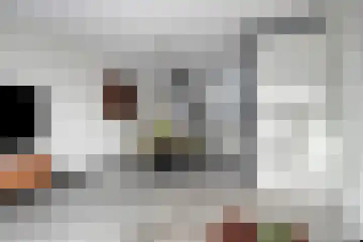 Achterberghstraat 23 Boxtel thumbnail 7