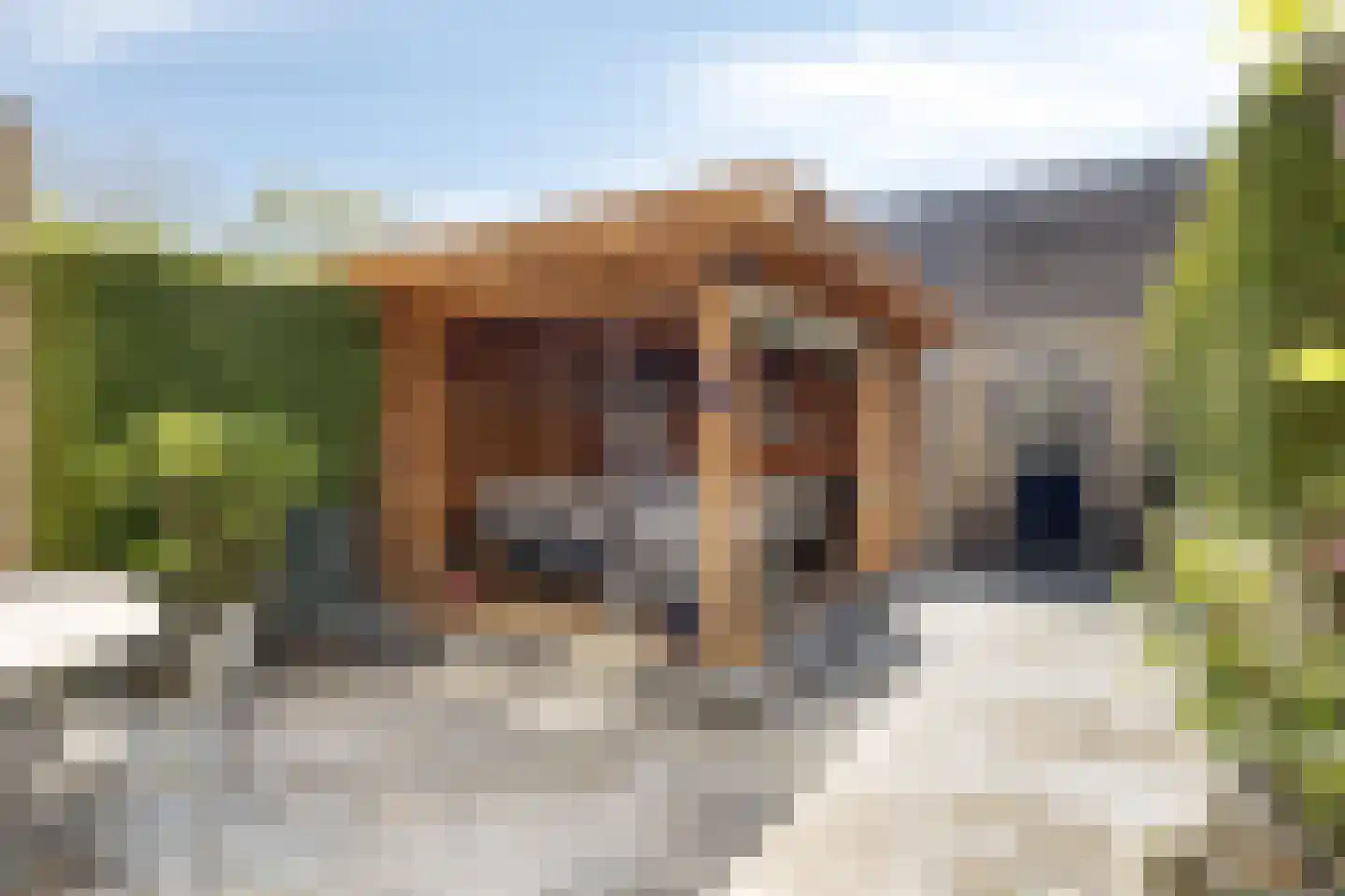 Achterberglaan 11 Veenendaal thumbnail 4