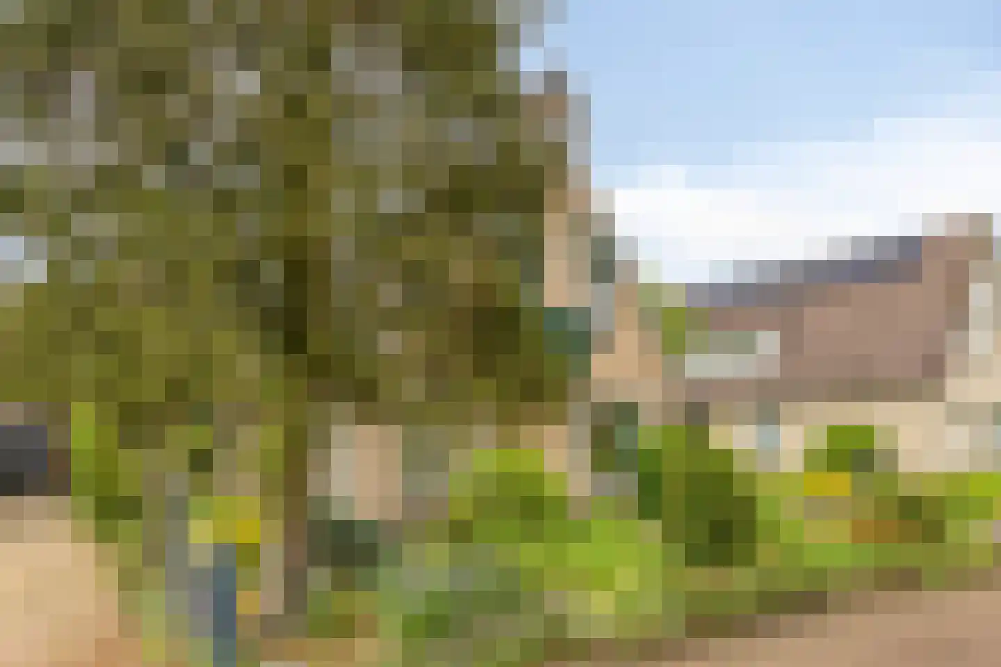 Achterberglaan 42 Veenendaal thumbnail 32