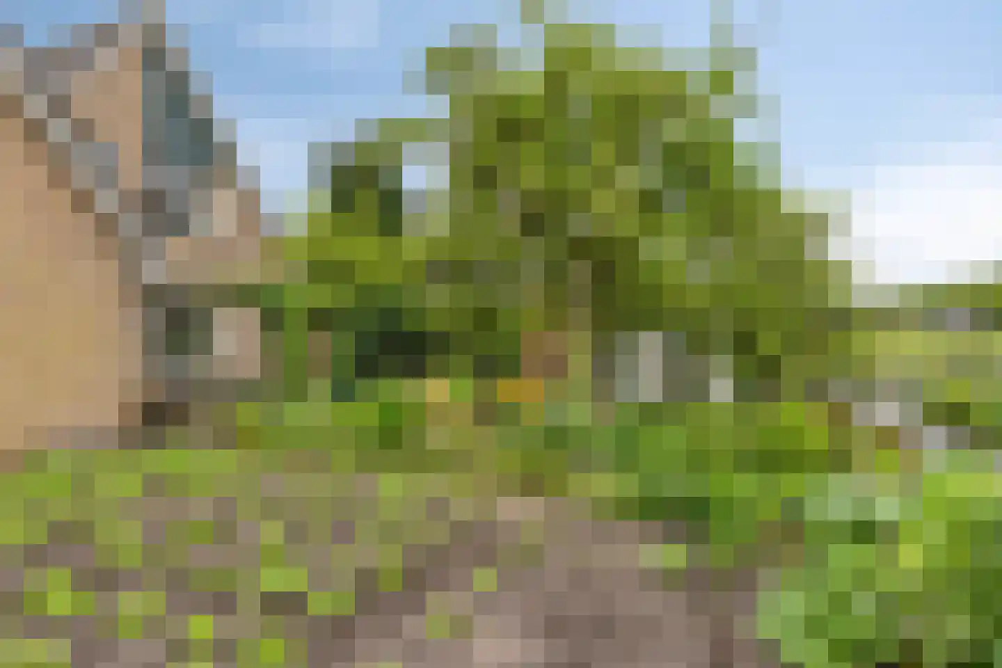 Achterberglaan 42 Veenendaal thumbnail 38