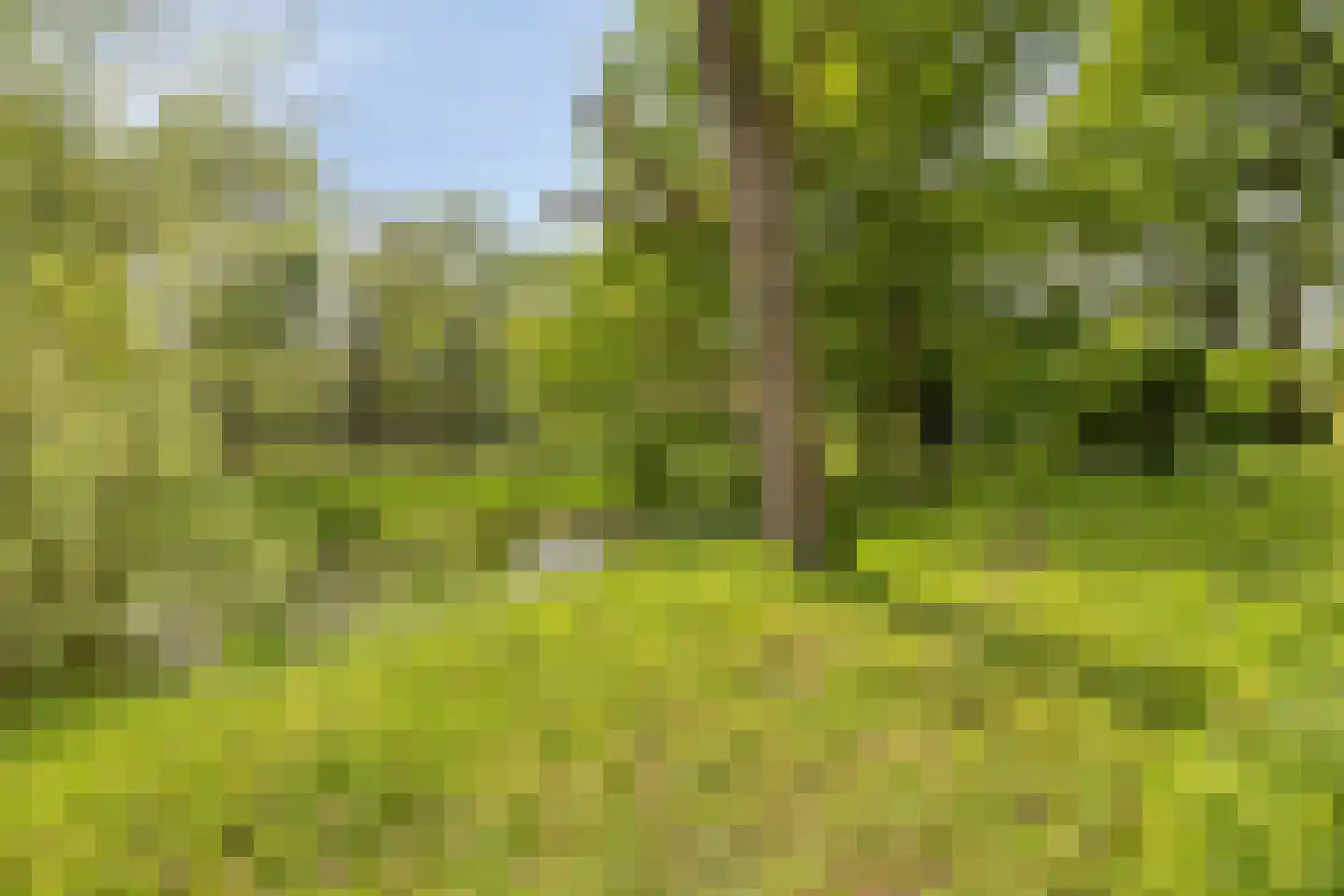 Achterberglaan 42 Veenendaal thumbnail 44