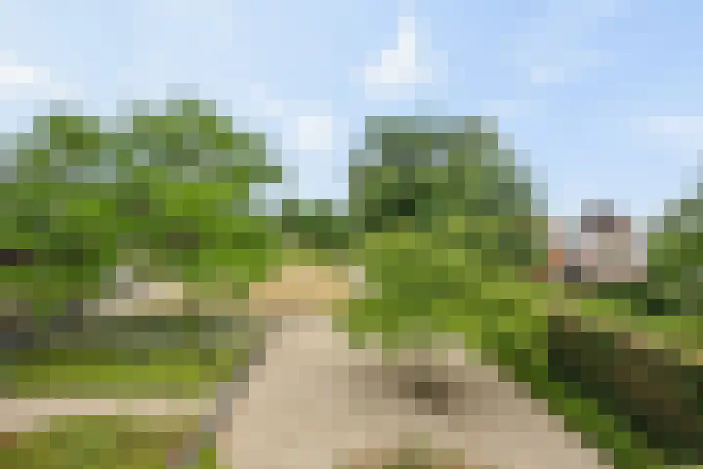 Achterbergsestraatweg 10 H Rhenen thumbnail 15