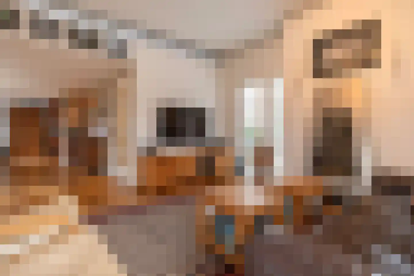 Achterbinnenhaven 104 Den Helder thumbnail 15