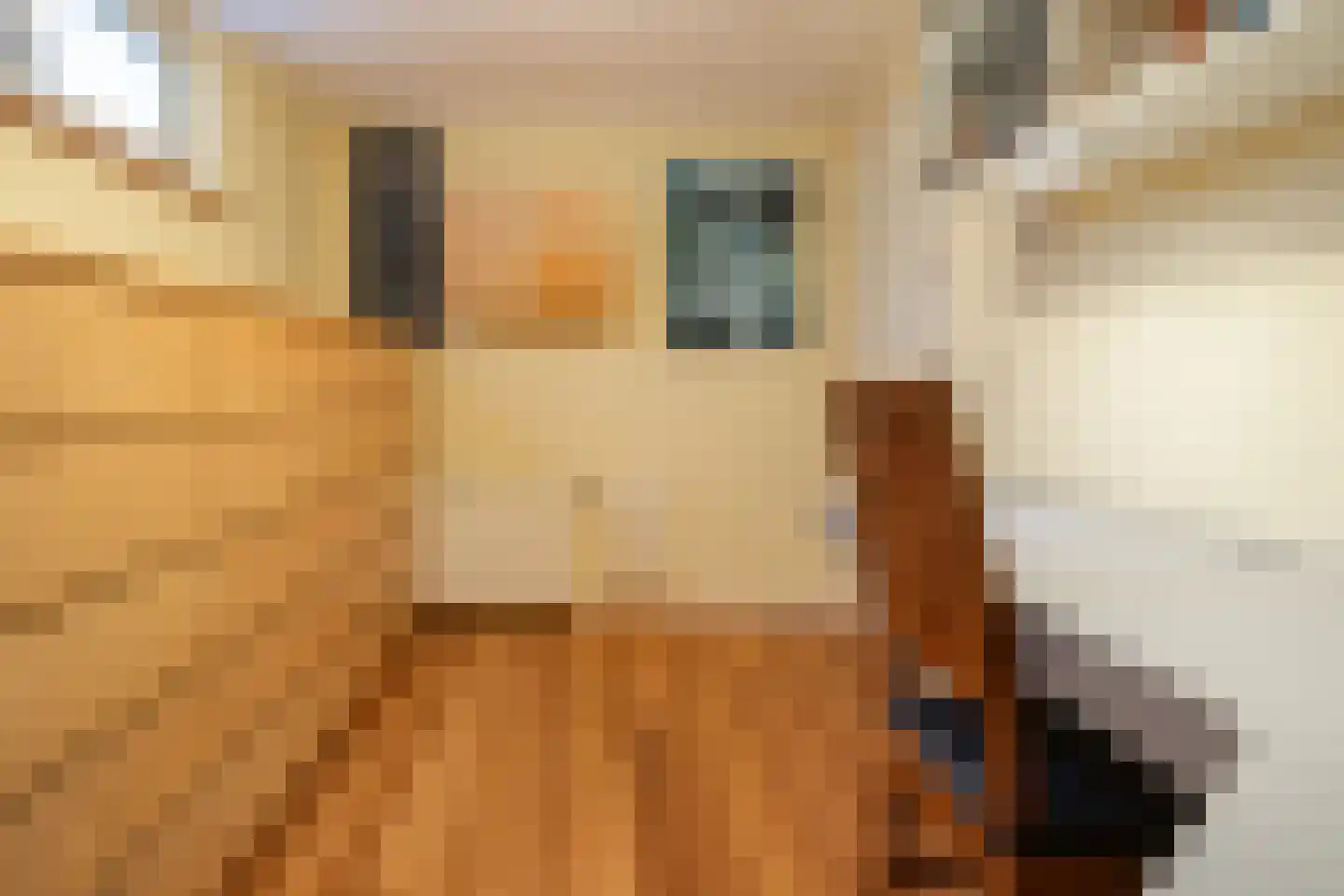 Achterbinnenhaven 104 Den Helder thumbnail 33