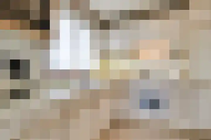 Achterbinnenhaven 112 Den Helder thumbnail 27