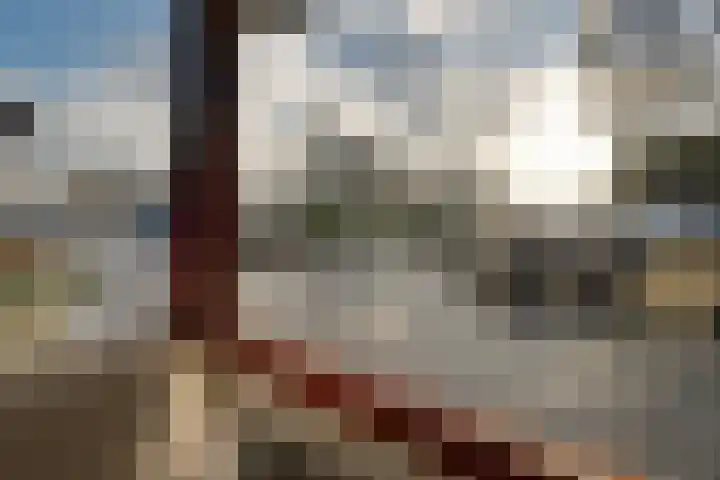 Achterbinnenhaven 112 Den Helder thumbnail 29