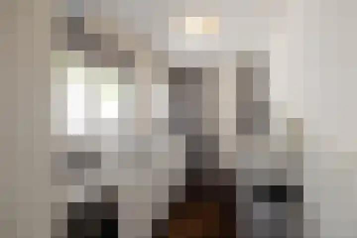 Achterbinnenhaven 63 Den Helder thumbnail 5