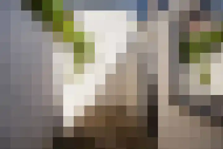 Achterbinnenhaven 63 Den Helder thumbnail 9