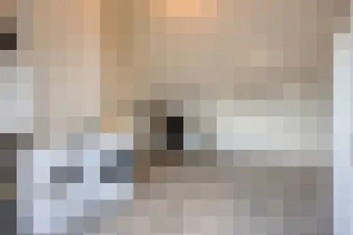 Achterbolst 24 Erp thumbnail 25