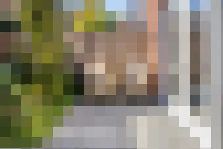 Achterbolst 24 Erp thumbnail 28
