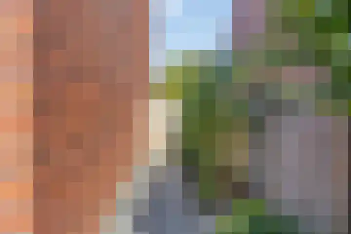 Achterbolst 24 Erp thumbnail 29