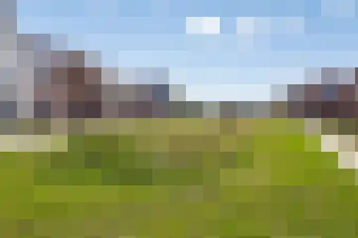Achterbolst 24 Erp thumbnail 31
