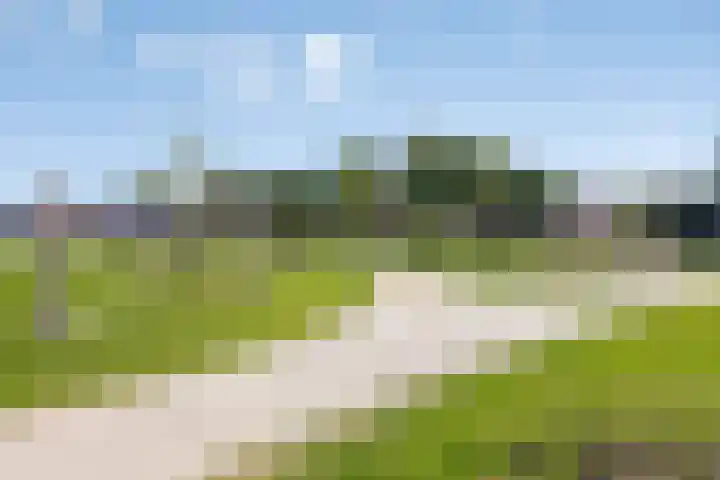 Achterbolst 24 Erp thumbnail 32