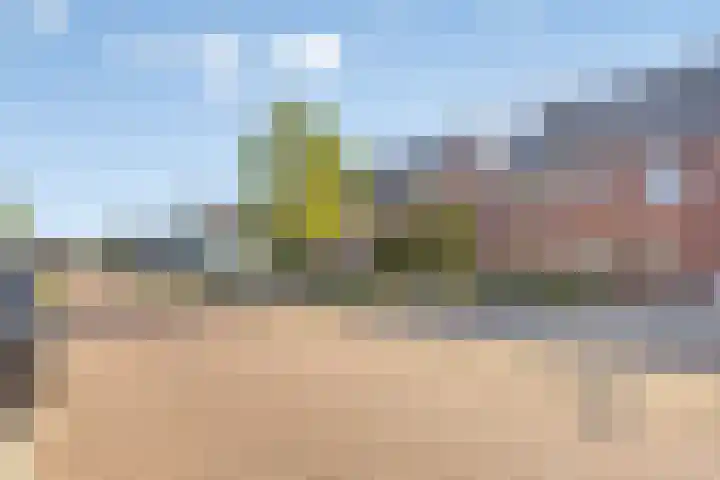Achterbolst 24 Erp thumbnail 5