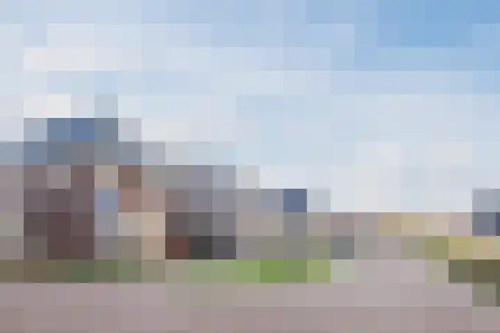 Achterbolst 38 Erp thumbnail 41