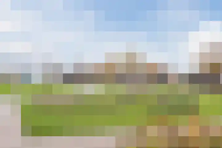 Achterbolst 38 Erp thumbnail 42