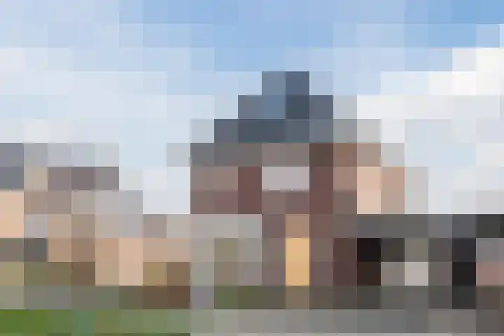 Achterbolst 38 Erp thumbnail 6