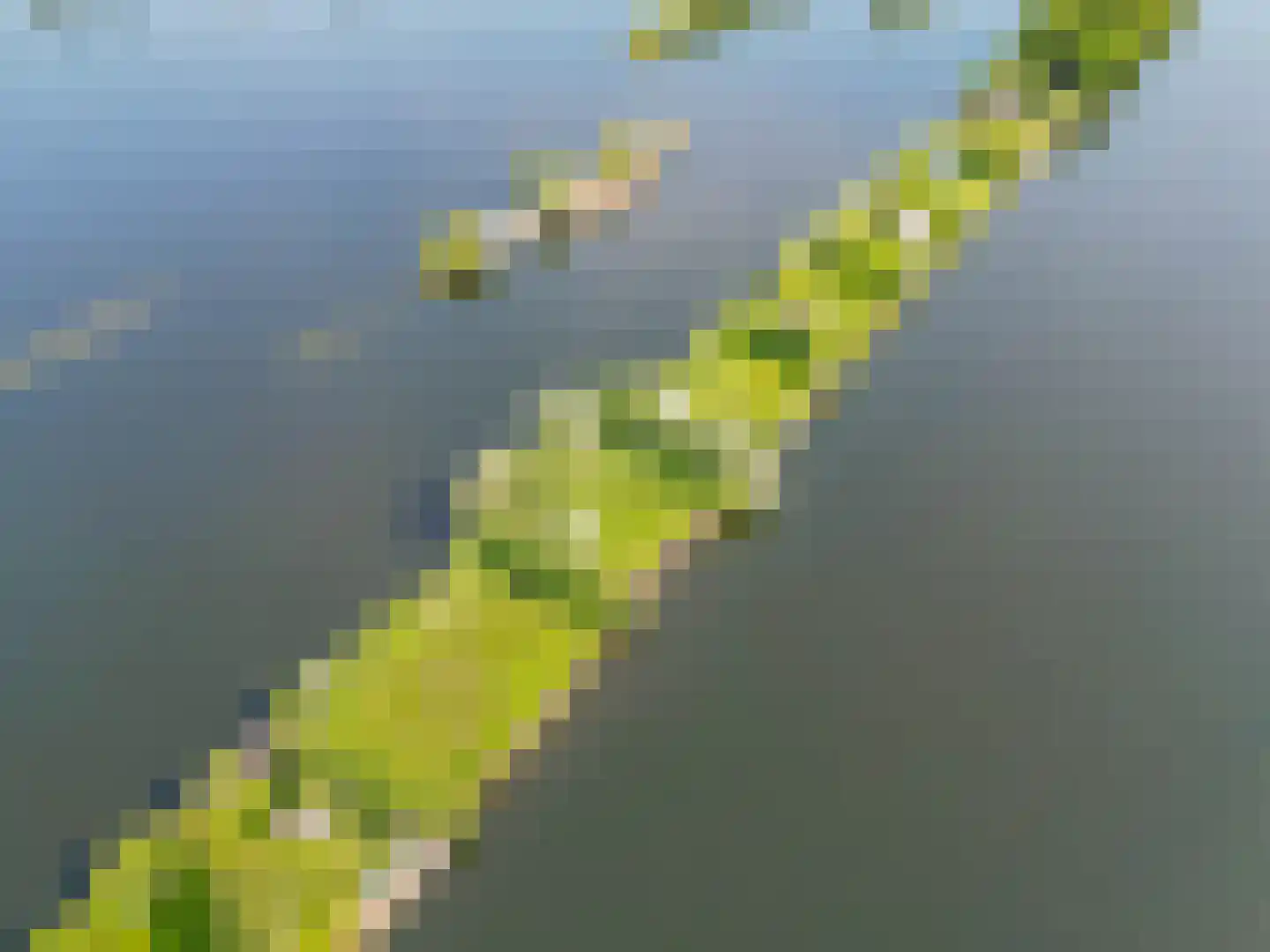 Achterbos 24 Vinkeveen thumbnail 7