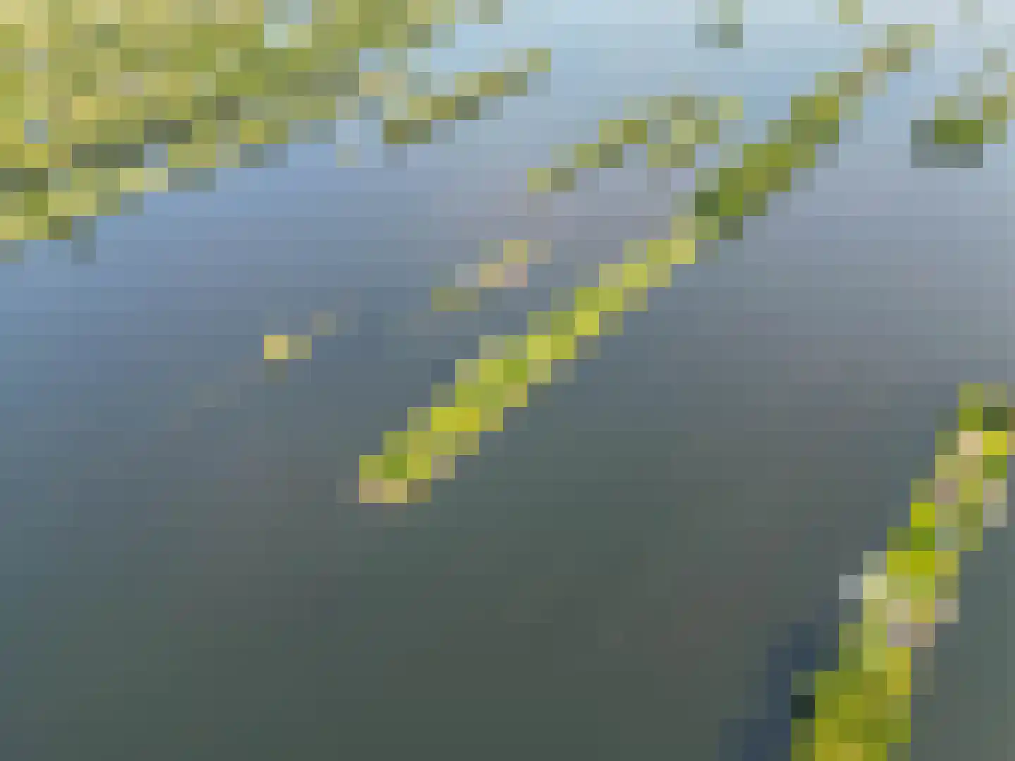 Achterbos 24 Vinkeveen thumbnail 8