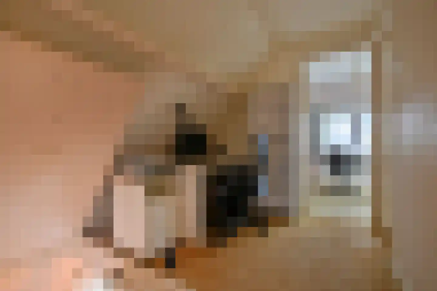 Achterbos 32 R 3 Vinkeveen thumbnail 23