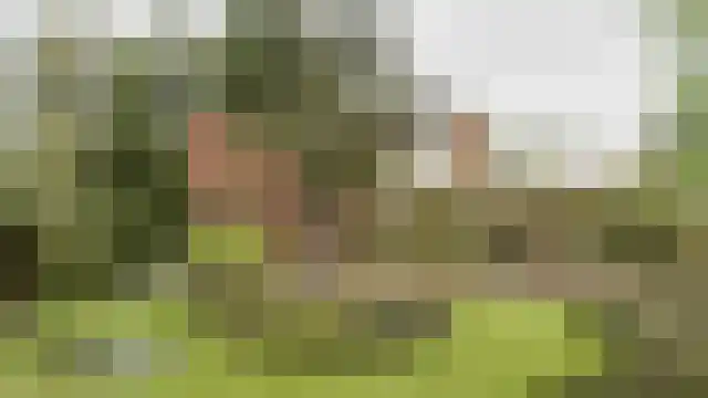 Achterbos 36 R 4 Vinkeveen thumbnail 12