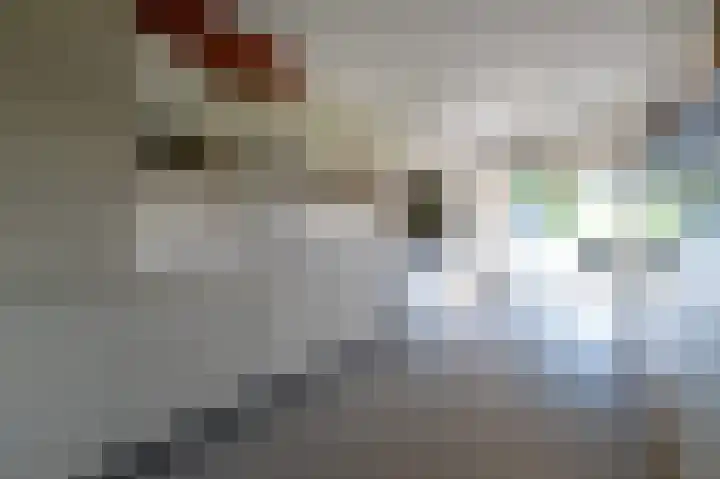 Achterbos 39 Vinkeveen thumbnail 10