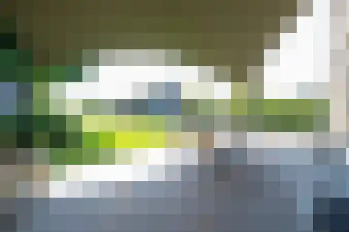 Achterbos 39 Vinkeveen thumbnail 22