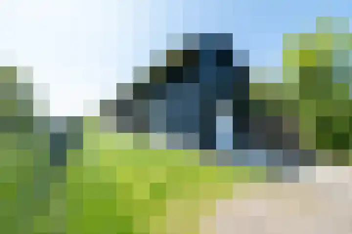 Achterbos 39 Vinkeveen thumbnail 23
