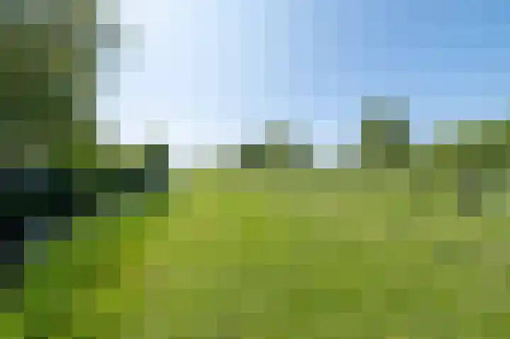Achterbos 39 Vinkeveen thumbnail 25