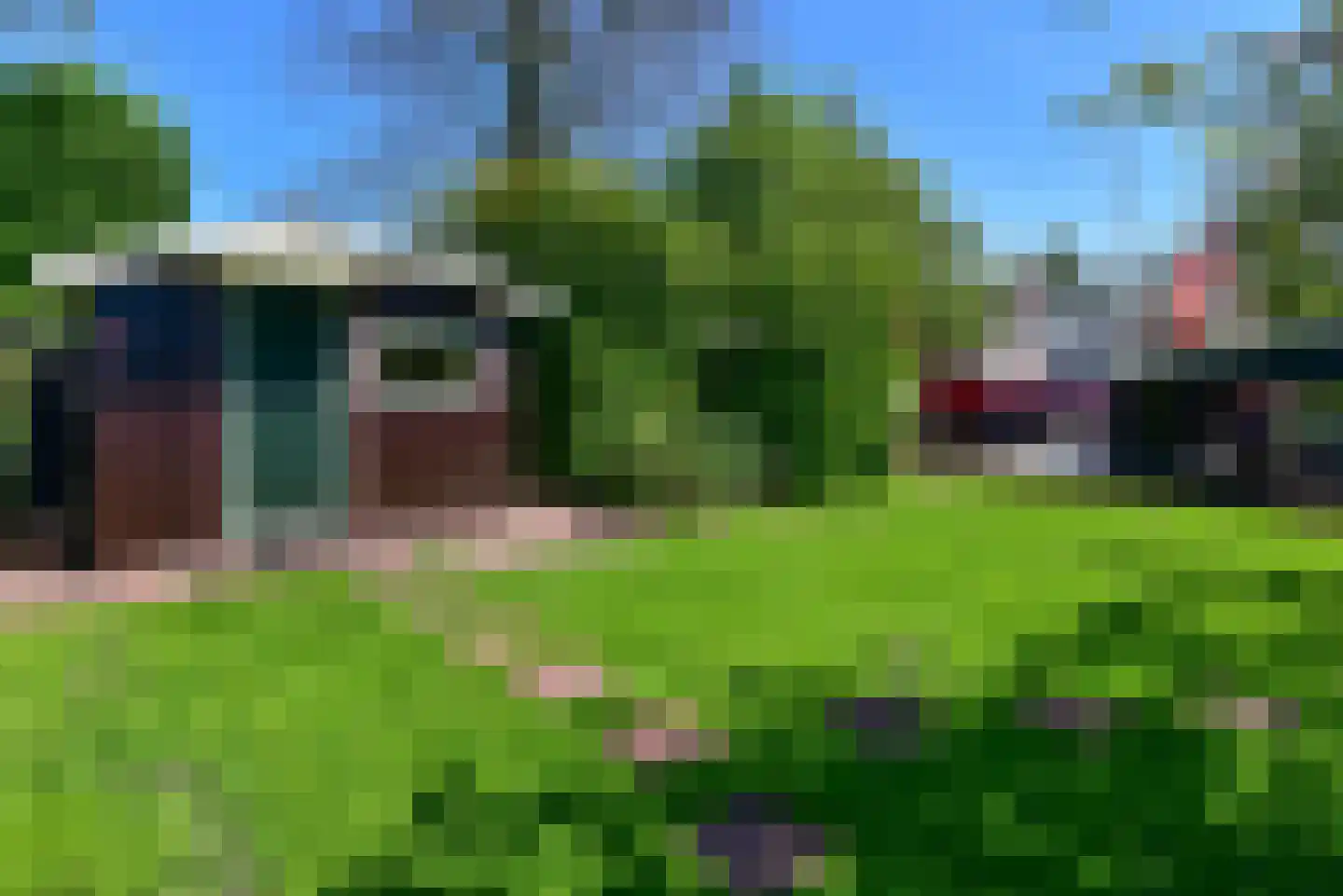 Achterbos 42 R 15 Vinkeveen thumbnail 23