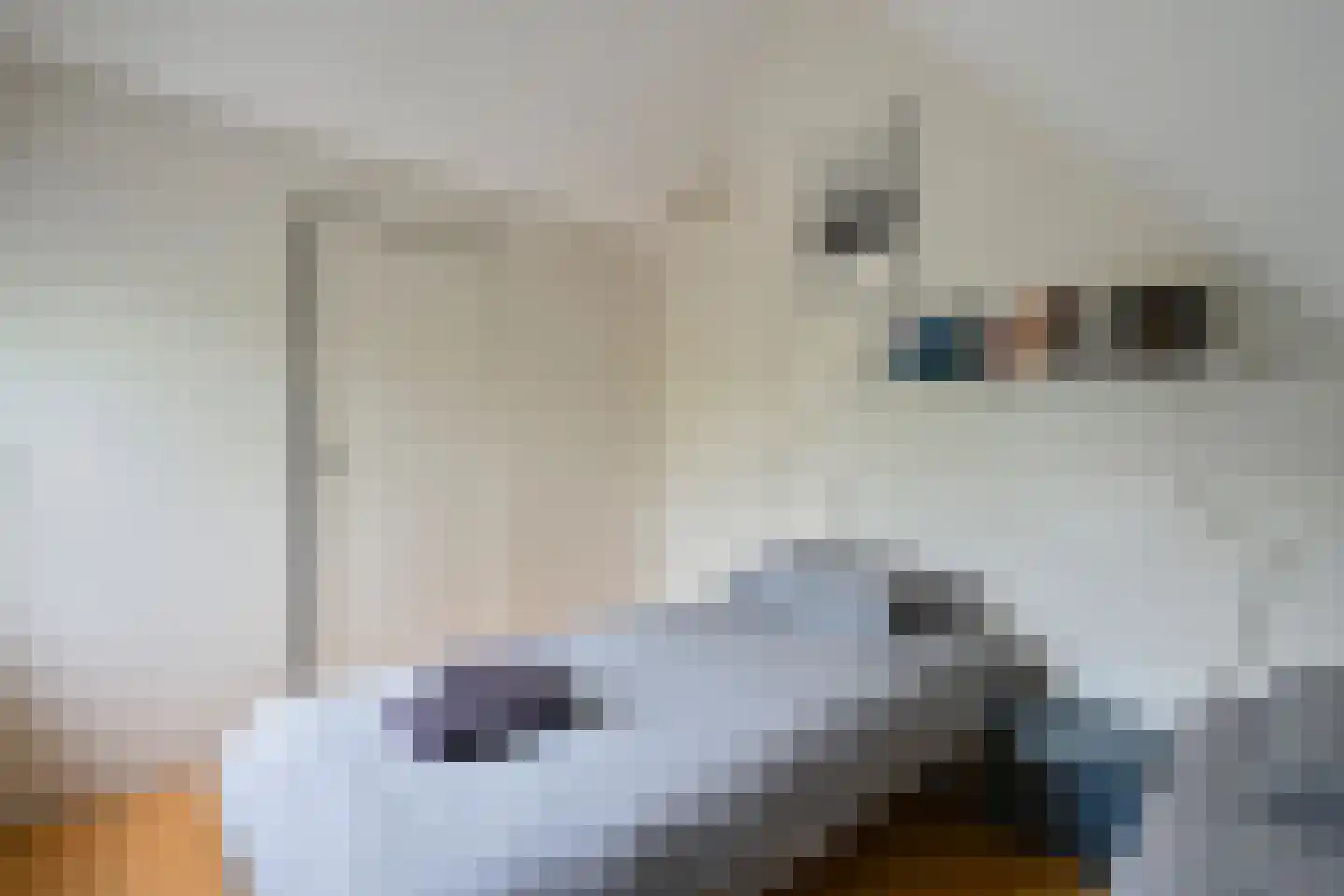 Achterbos 42 R 2 Vinkeveen thumbnail 20