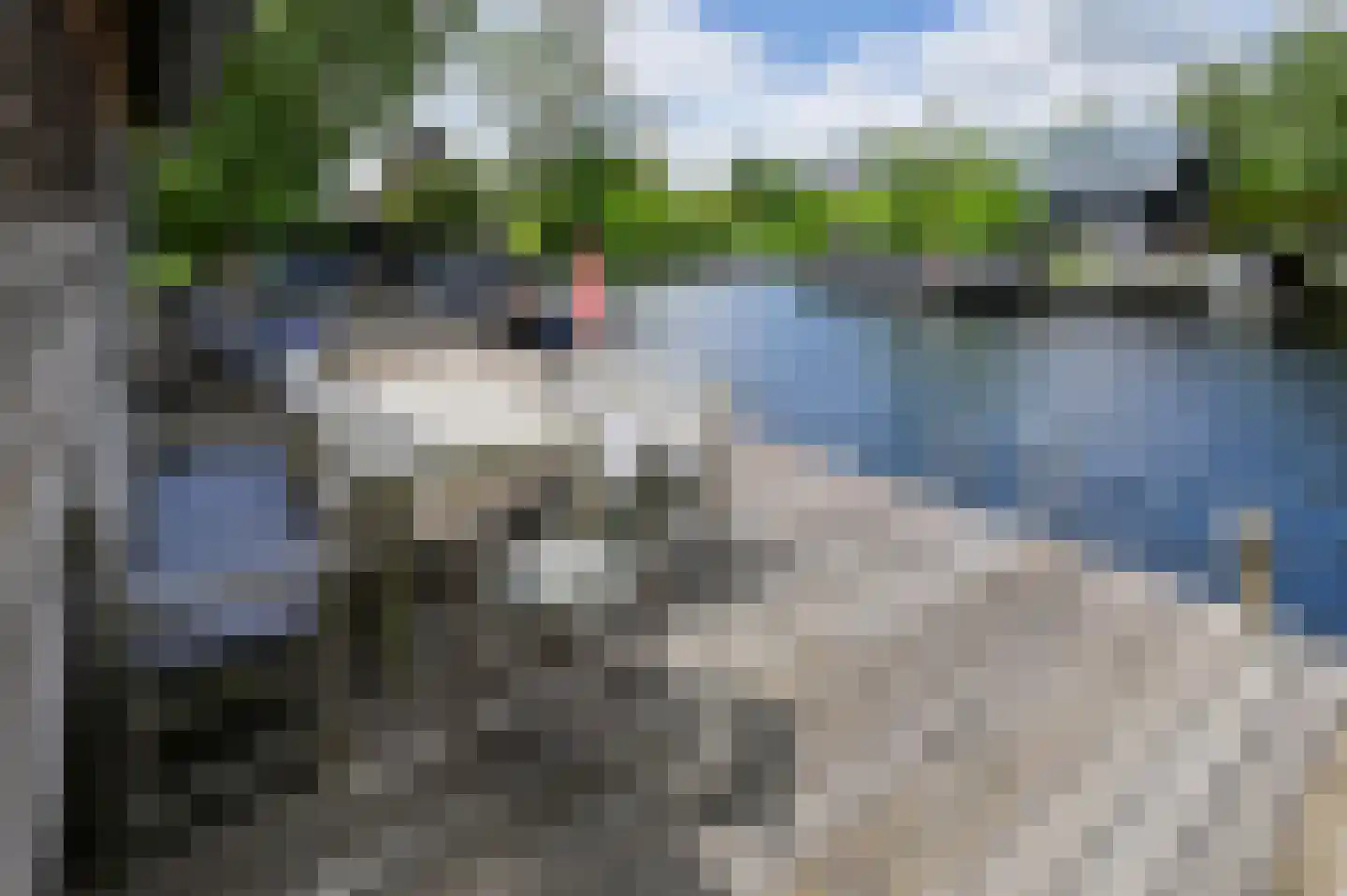 Achterbos 42 R 2 Vinkeveen thumbnail 28