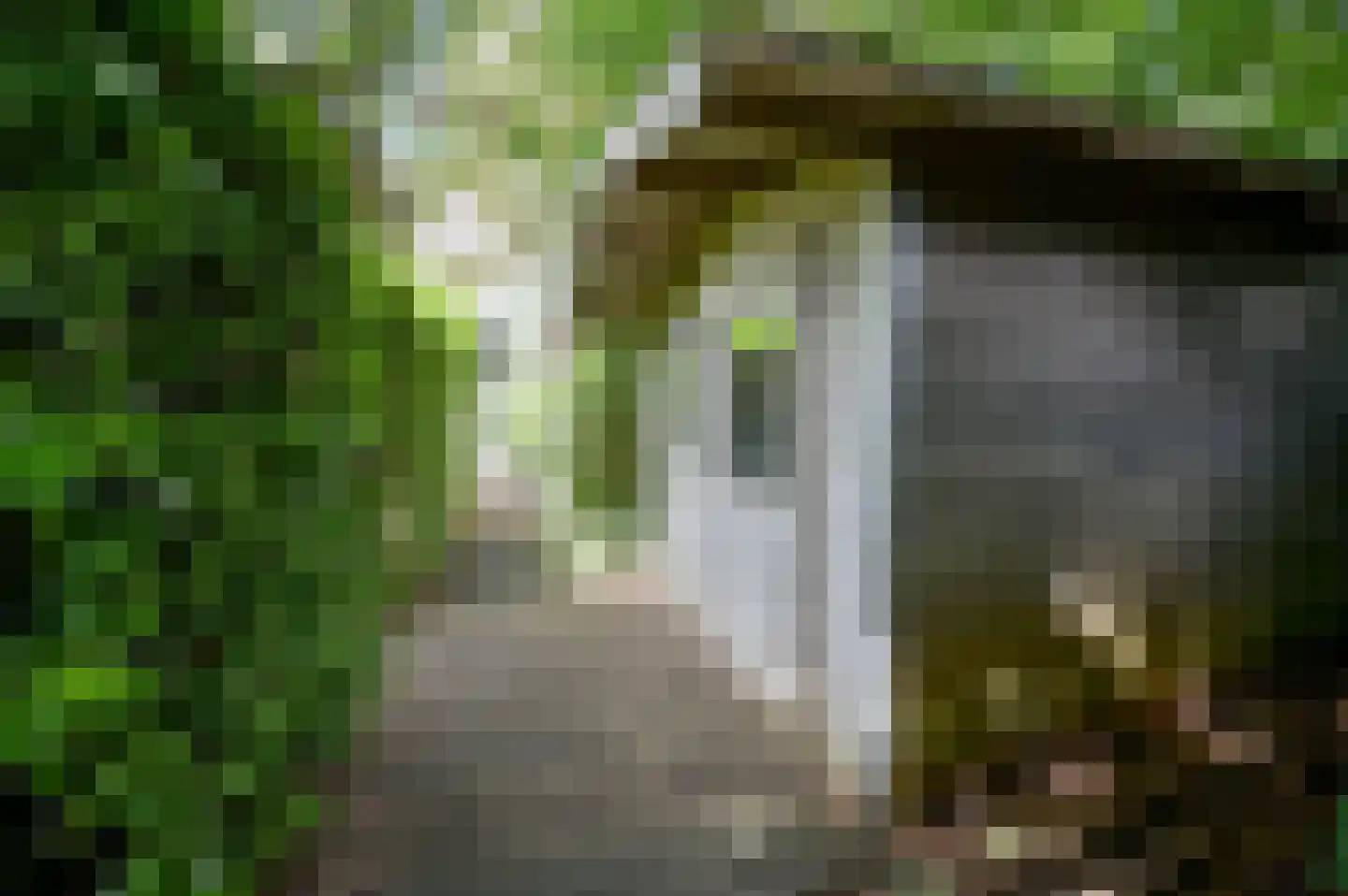 Achterbos 42 R 2 Vinkeveen thumbnail 31