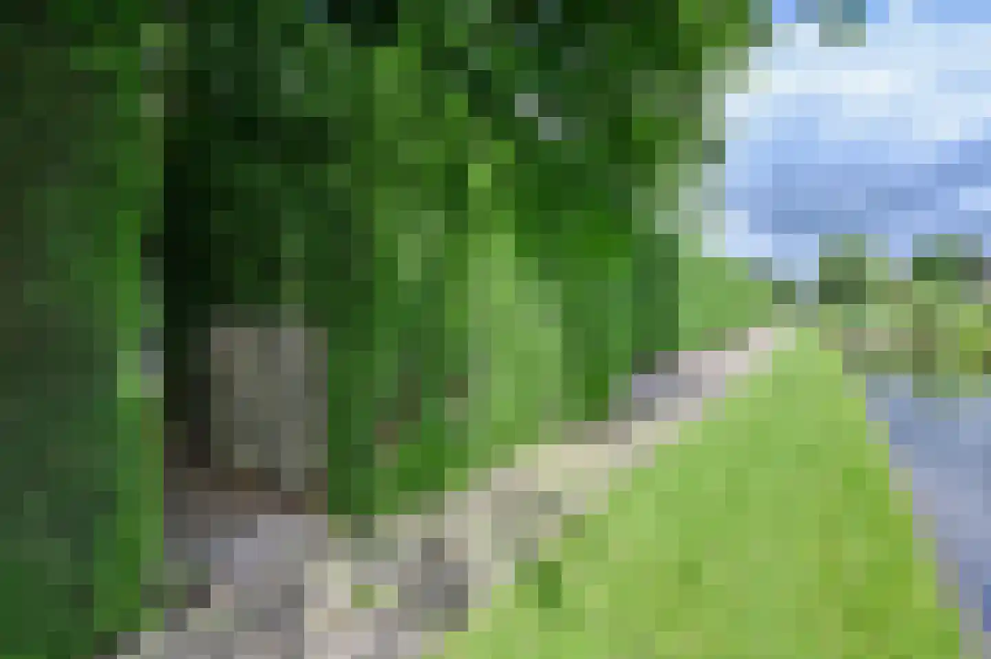 Achterbos 42 R 2 Vinkeveen thumbnail 33