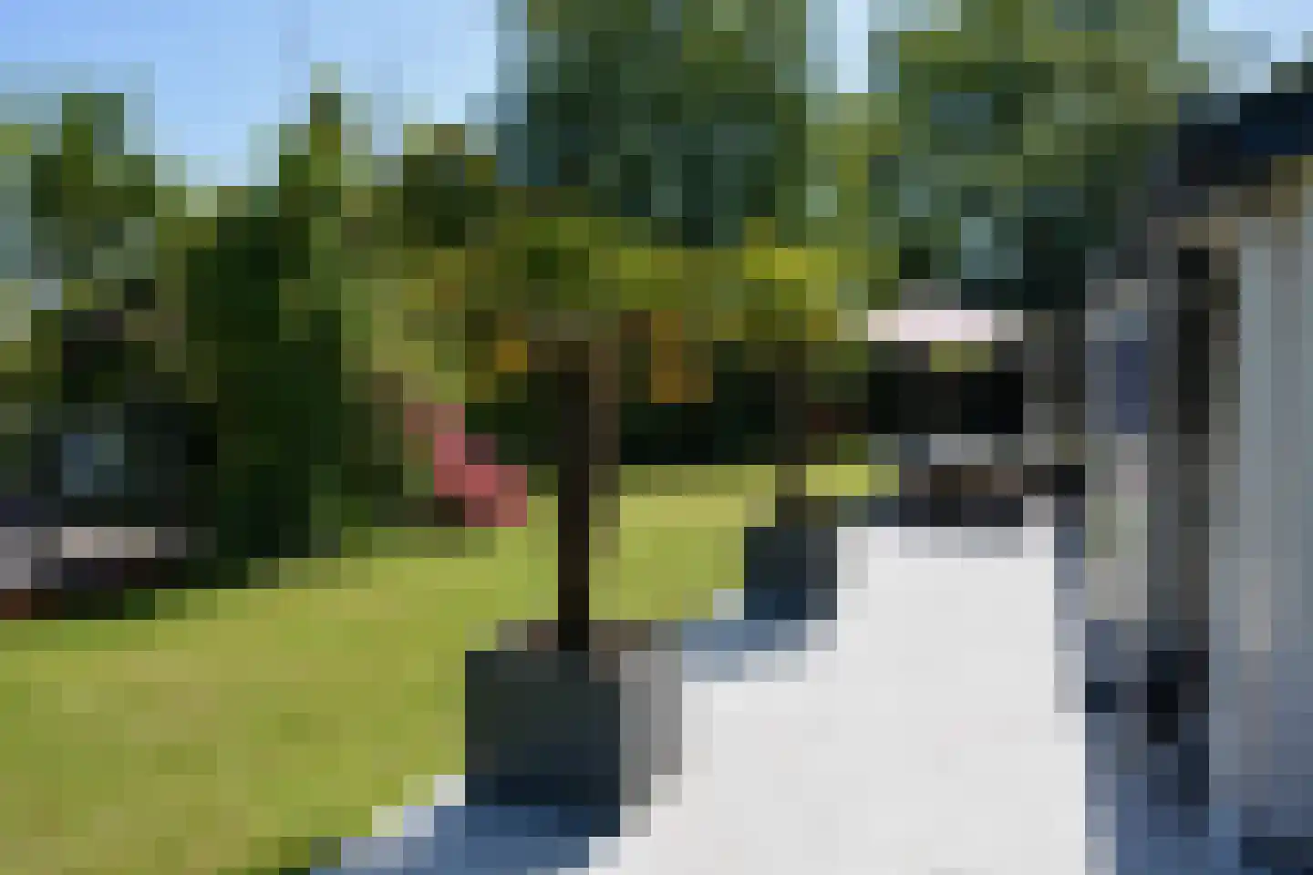 Achterbos 50 R 3 Vinkeveen thumbnail 12