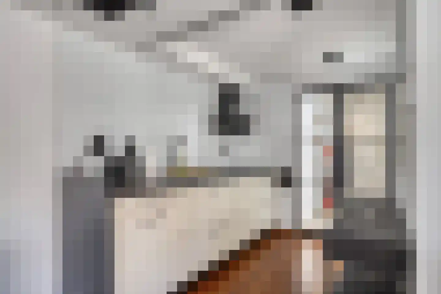 Achterbos 50 R 3 Vinkeveen thumbnail 22
