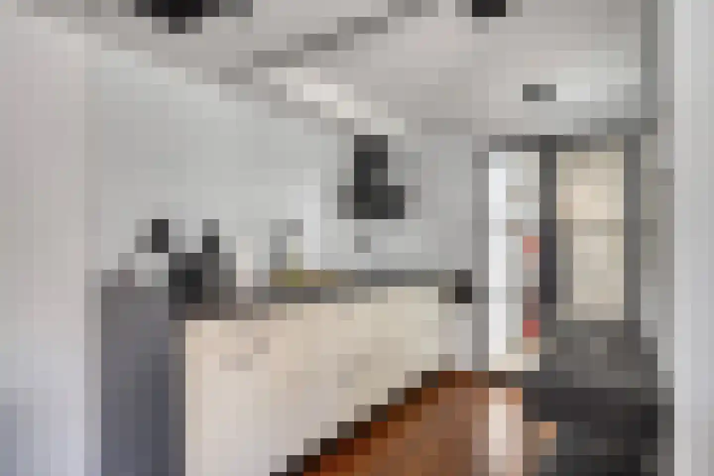 Achterbos 50 R 3 Vinkeveen thumbnail 24