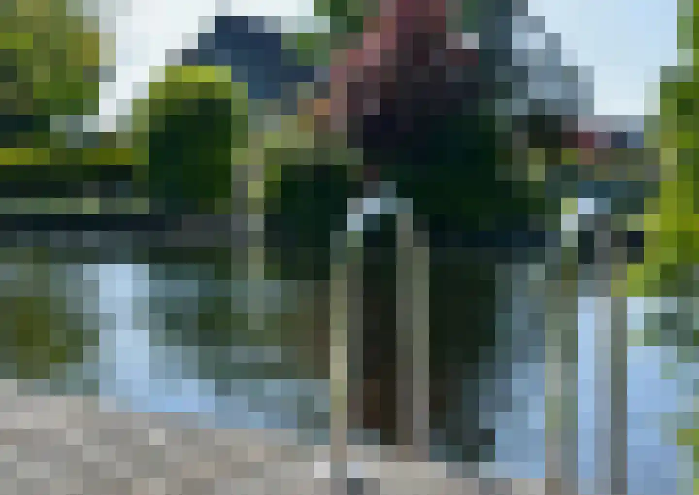 Achterbos 50 R 3 Vinkeveen thumbnail 37