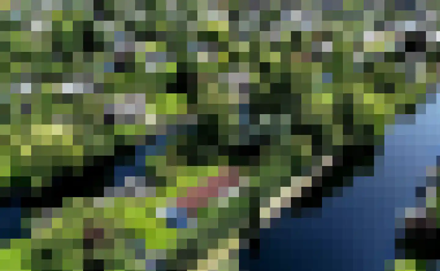 Achterbos 50 R 3 Vinkeveen thumbnail 4