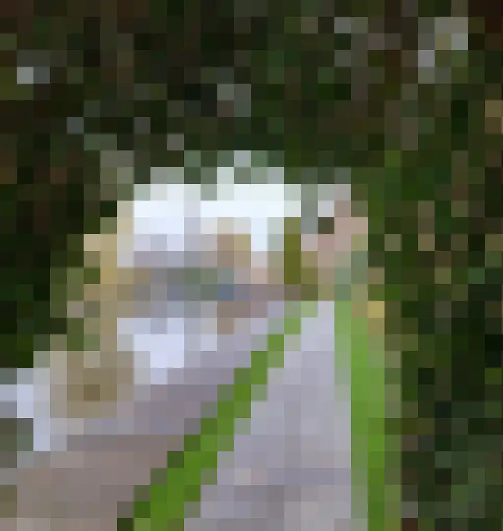 Achterbos 50 R 3 Vinkeveen thumbnail 4