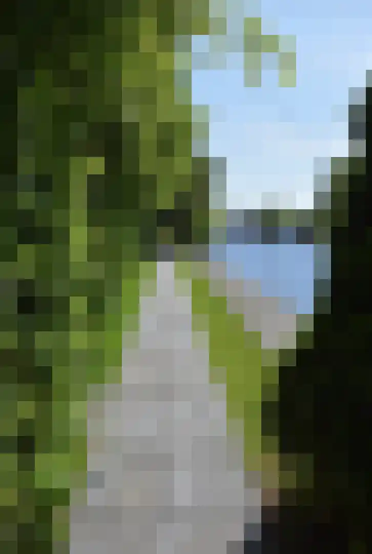 Achterbos 50 R 3 Vinkeveen thumbnail 5