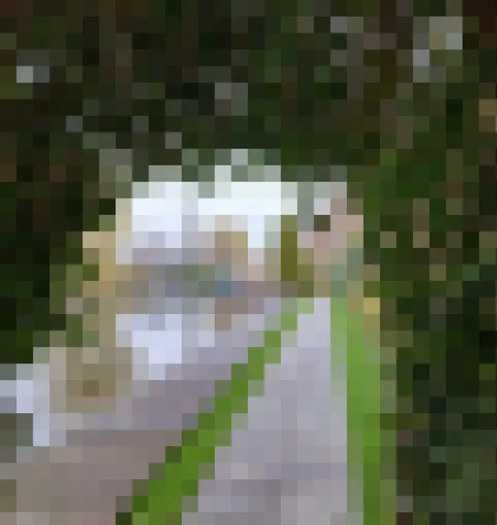 Achterbos 50 R 3 Vinkeveen thumbnail 5